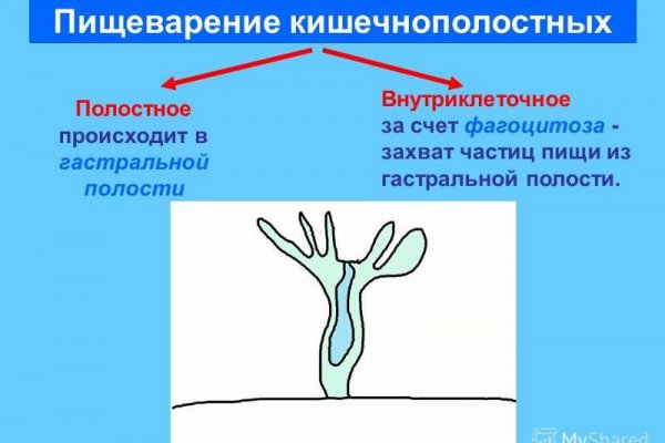 Какая ссылка у кракена