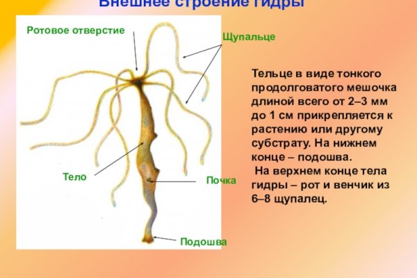 Даркмаркет кракен