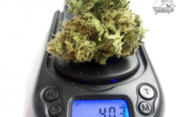 Кракен плейс